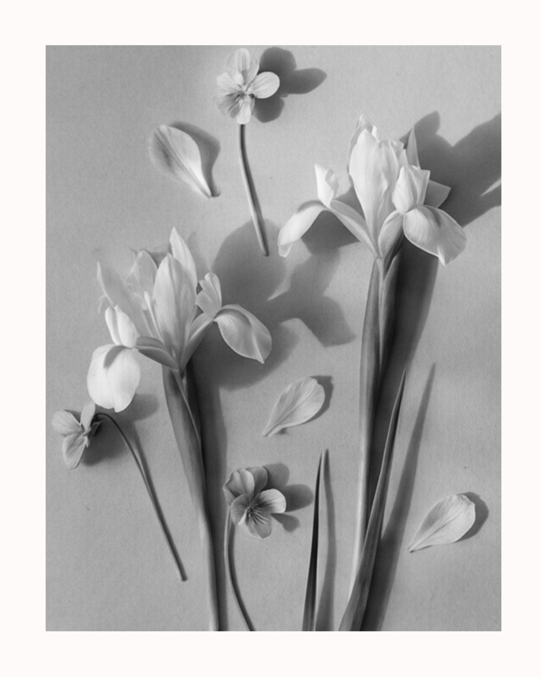 Product Story Builder