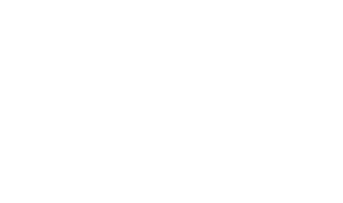 This Found white footer logo